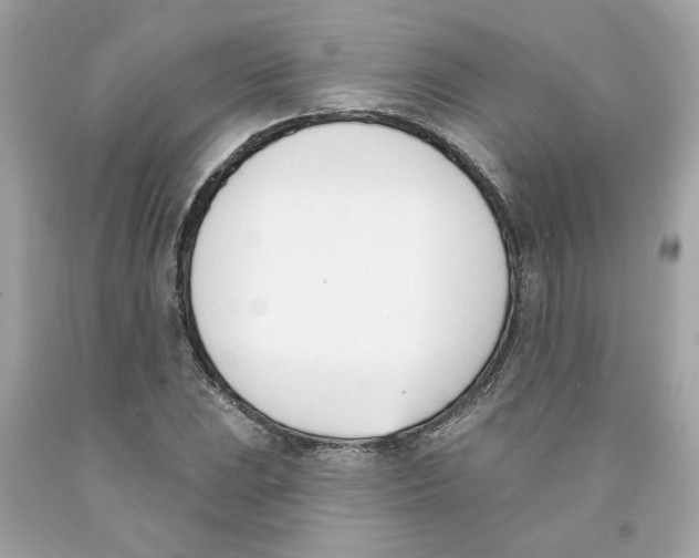 X0000091071023200709041215