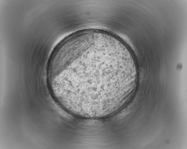 X0000091071024200709041215