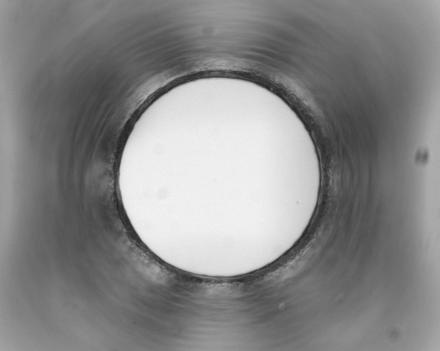 X0000091071025200709041215