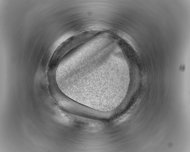 X0000091071026200709041215
