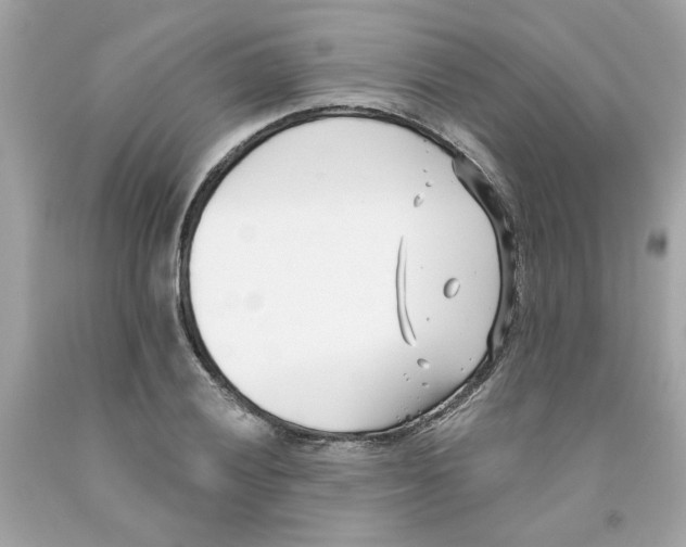 X0000091071028200709041215