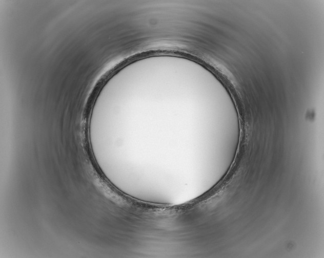 X0000091071029200709041215