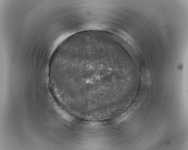 X0000091071030200709041215