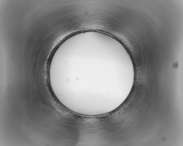 X0000091071031200709041215