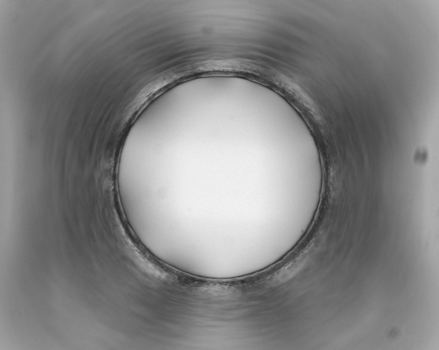 X0000091071033200709041215