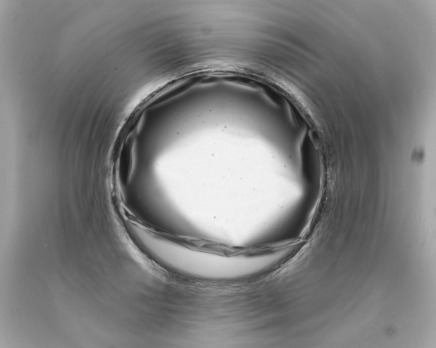 X0000091071034200709041215
