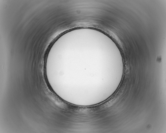 X0000091071035200709041215