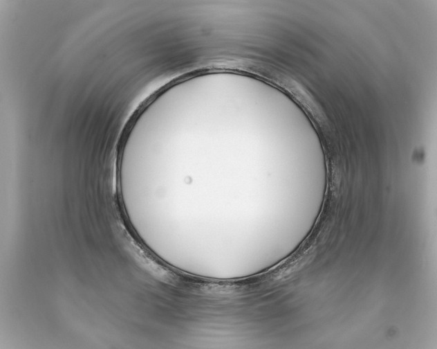 X0000091071036200709041215