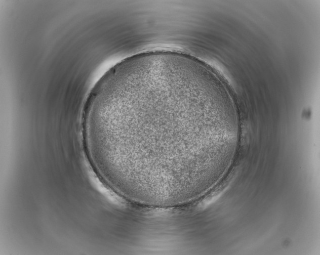 X0000091071038200709041215
