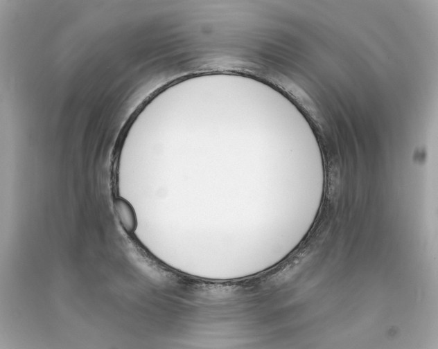 X0000091071039200709041215