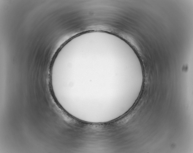 X0000091071040200709041215