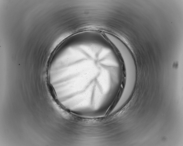 X0000091071042200709041215