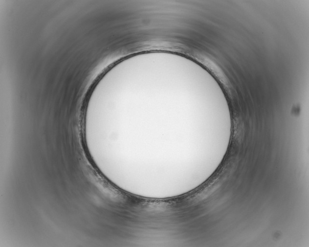 X0000091071043200709041215
