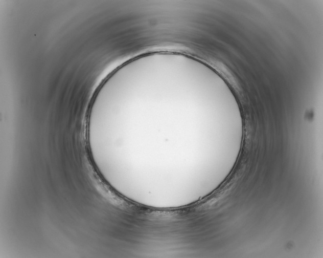 X0000091071044200709041215