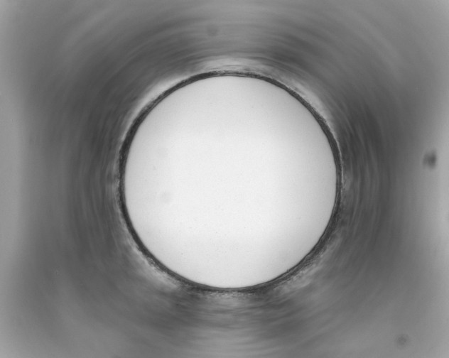 X0000091071045200709041215