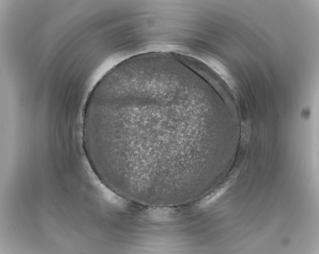 X0000091071046200709041215