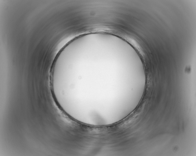 X0000091071047200709041215