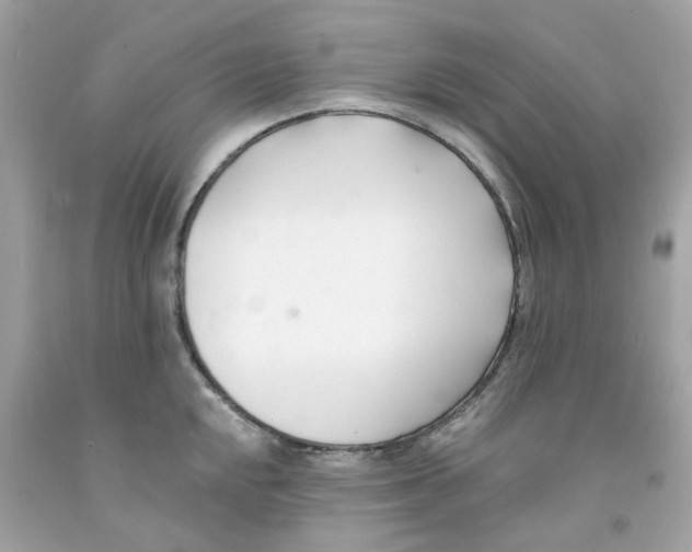 X0000091071048200709041215