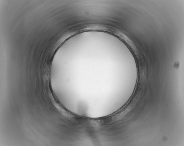 X0000091071049200709041215