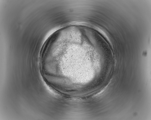 X0000091071050200709041215