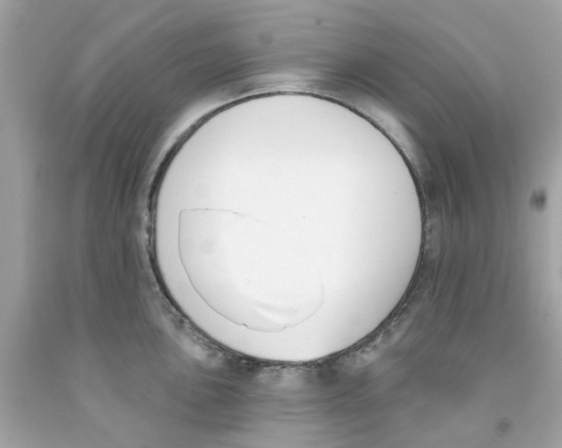 X0000091071051200709041215