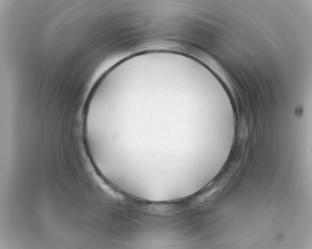 X0000091071053200709041215