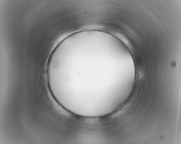 X0000091071055200709041215