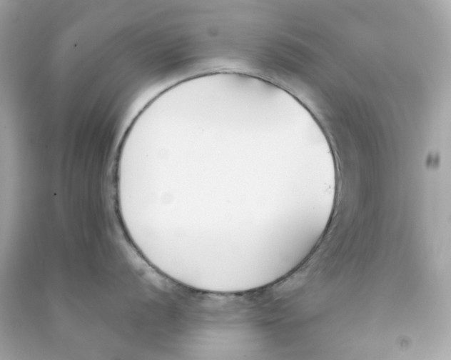 X0000091071056200709041215