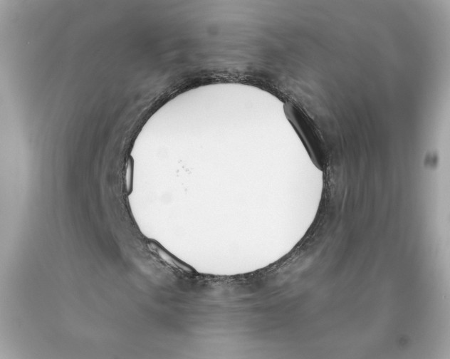 X0000091071057200709041215