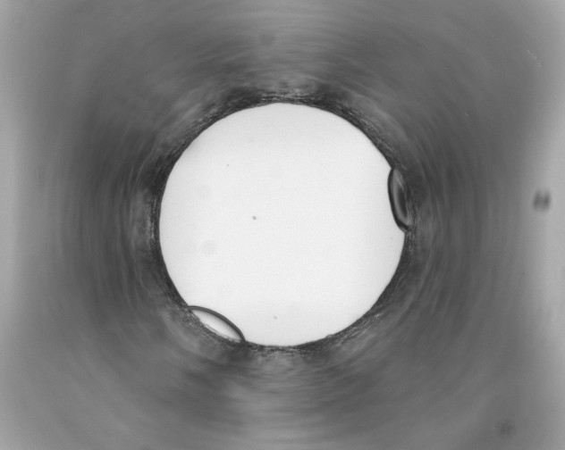 X0000091071058200709041215