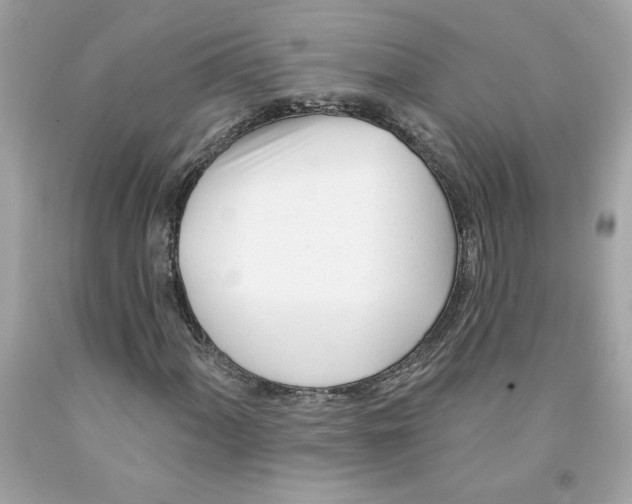 X0000091071060200709041215