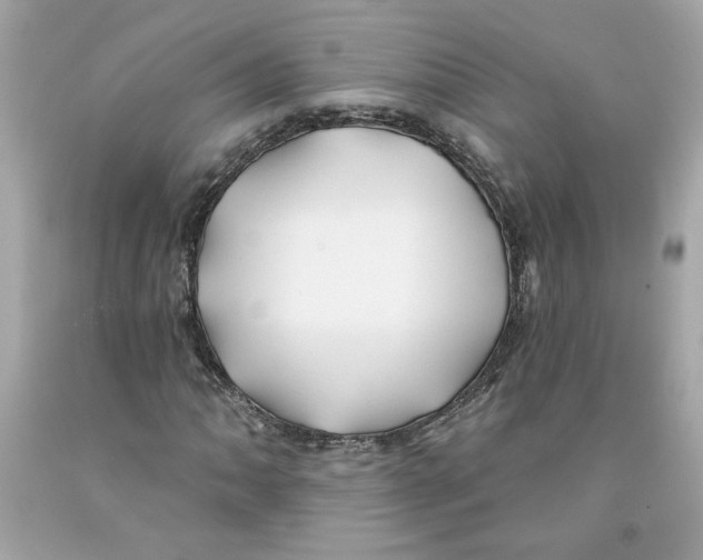 X0000091071062200709041215