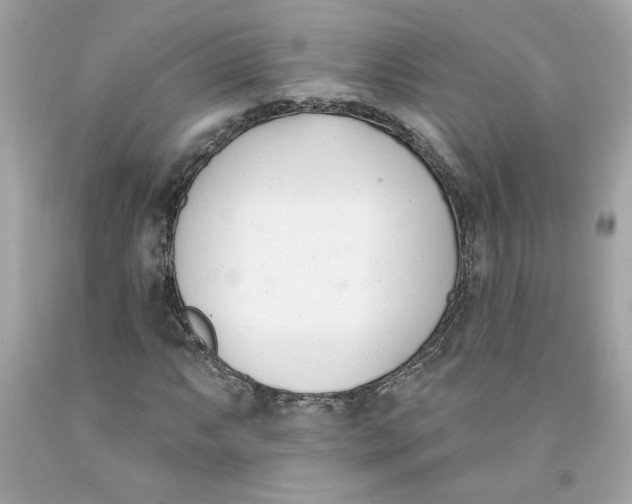 X0000091071063200709041215