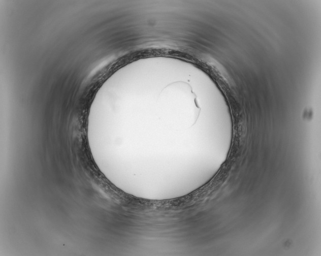 X0000091071064200709041215