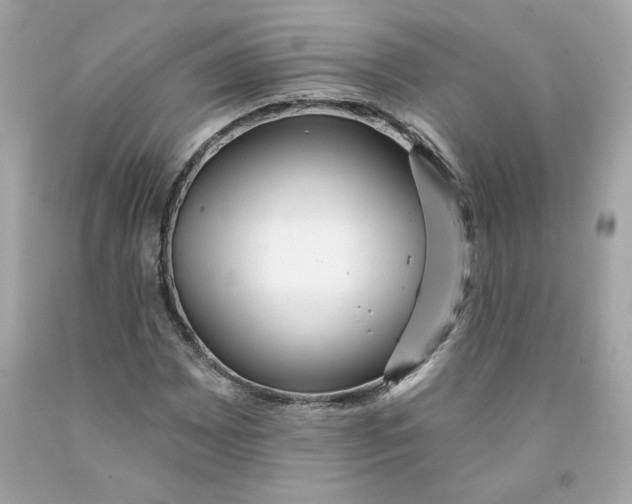 X0000091071065200709041215