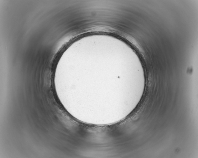 X0000091071067200709041214