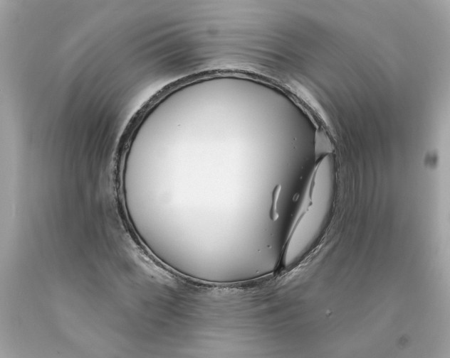 X0000091071068200709041214