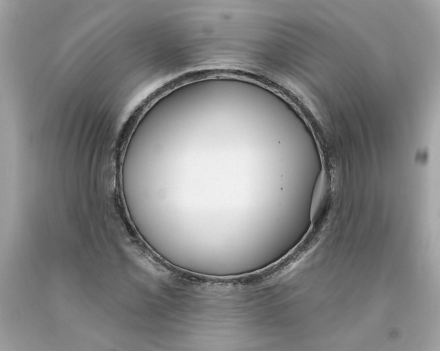 X0000091071069200709041214