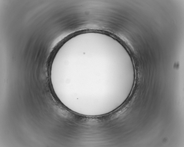 X0000091071070200709041214