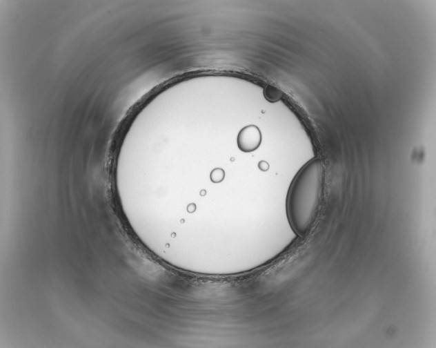X0000091071071200709041214