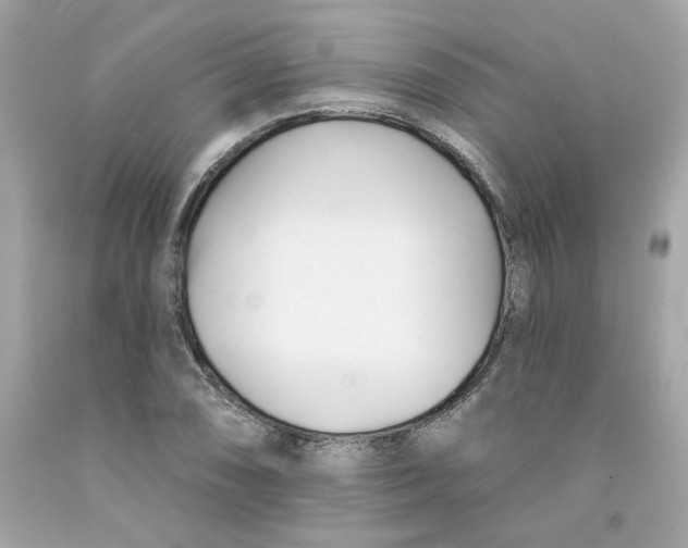 X0000091071074200709041214