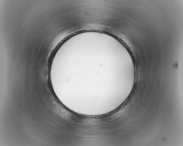 X0000091071075200709041214