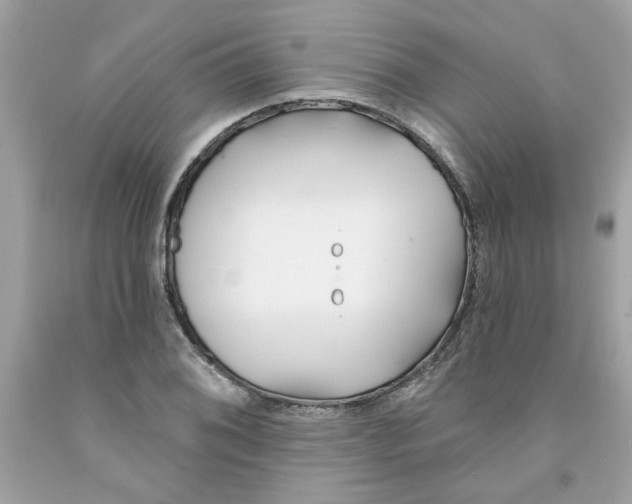 X0000091071076200709041214