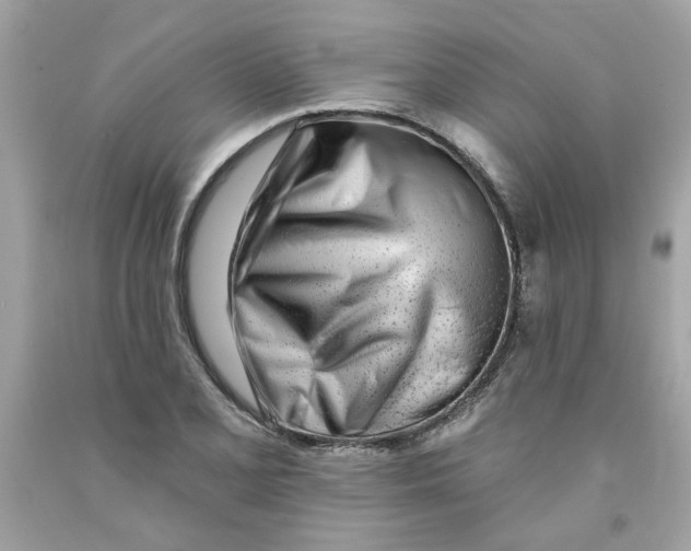 X0000091071077200709041214