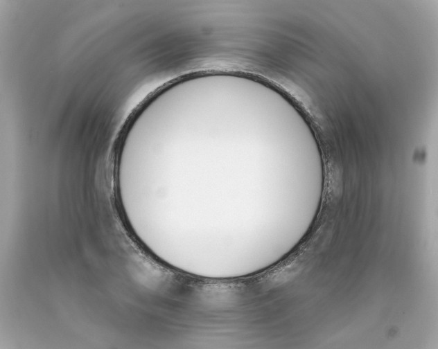 X0000091071078200709041214