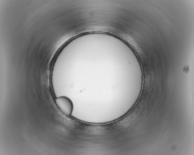 X0000091071079200709041214