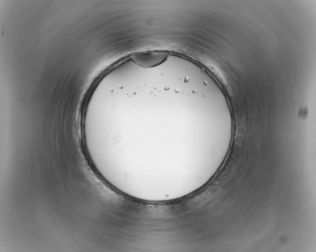 X0000091071080200709041214