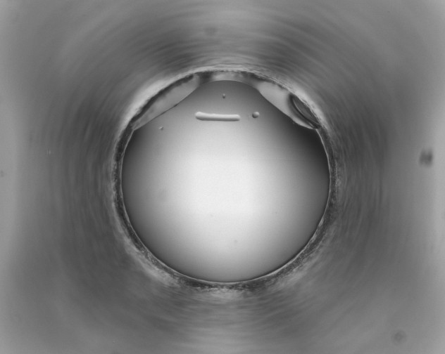 X0000091071085200709041214
