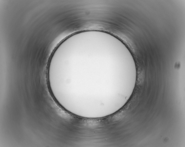 X0000091071086200709041214
