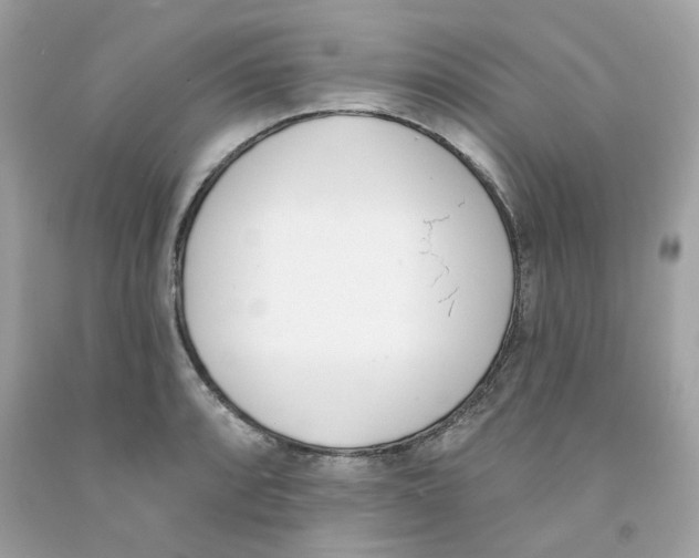 X0000091071088200709041214